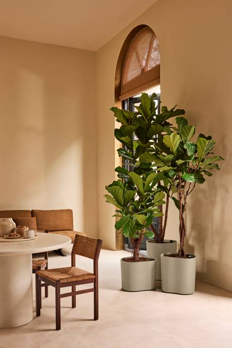 eden aquacare low 40cm sanftes Taupe